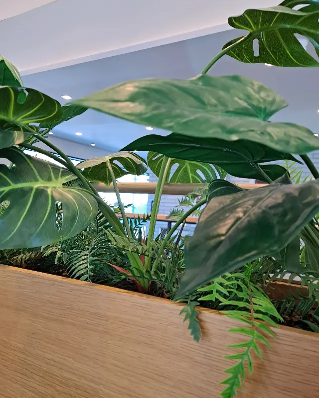 투썸플레이스 금정산성점 내부의 식물 장식