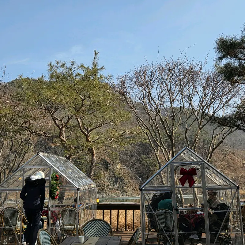 야외 테라스에 마련된 비닐하우스