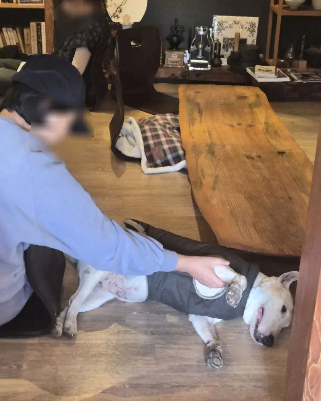 볼이와 함께