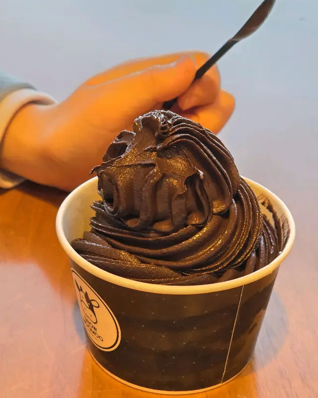 로얄블랙 아이스크림 근접샷