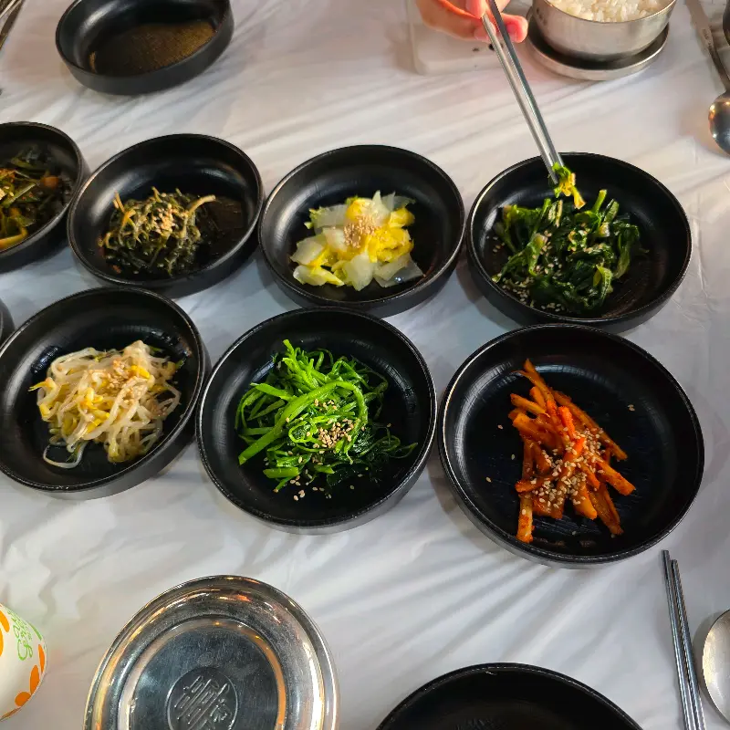 정갈하게 담긴 다양한 나물 반찬들