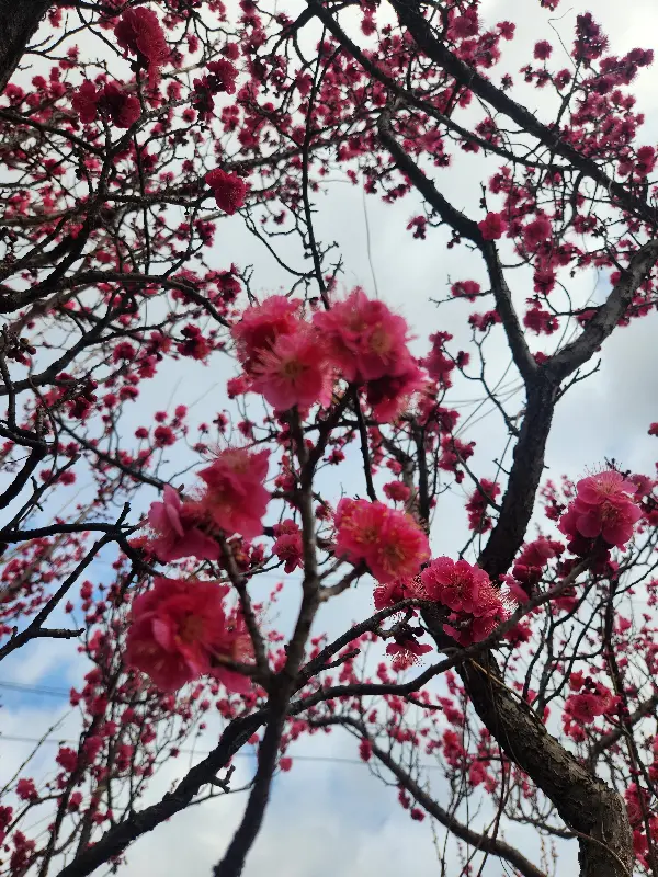 광양의 아름다운 풍경