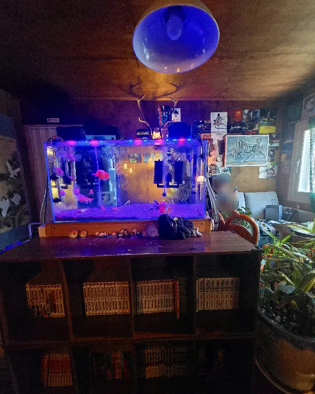 카페 내부 전체적인 모습