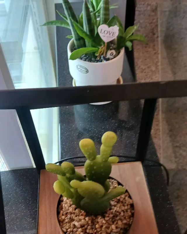 카페 내부 장식