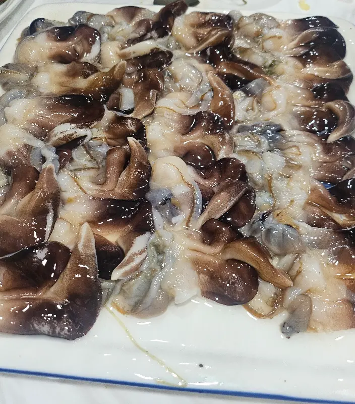 싱싱한 새조개의 모습