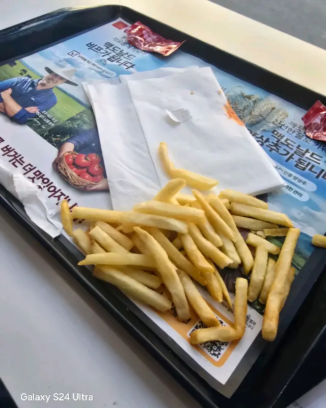 맥도날드 감자튀김