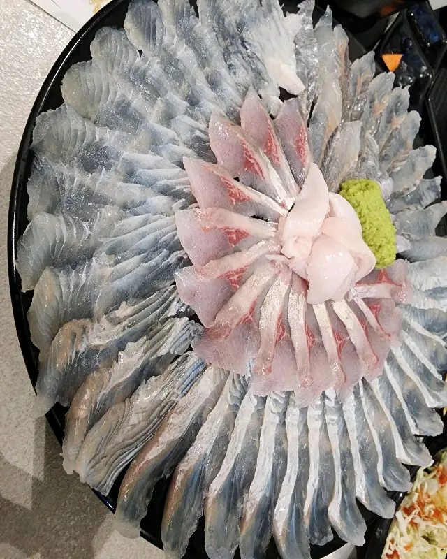 싱싱한 회 한 상 차림