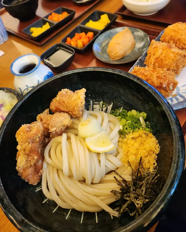 닭고기 우동 근접샷