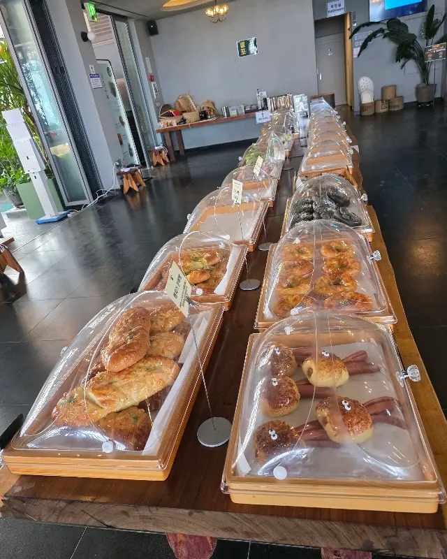 다양한 빵 종류