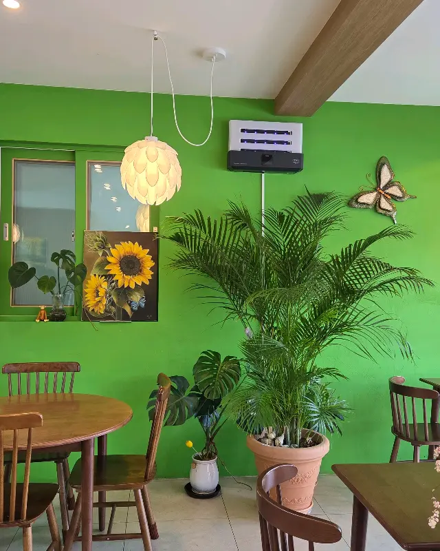 카페 내부 초록색 벽과 테이블