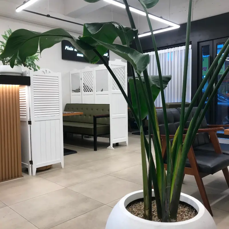 카페 내부 인테리어