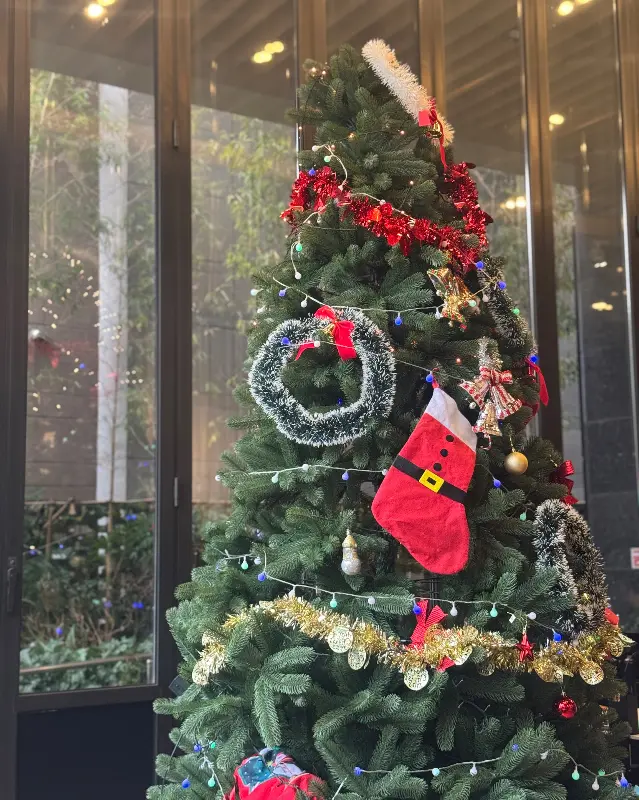 크리스마스 트리