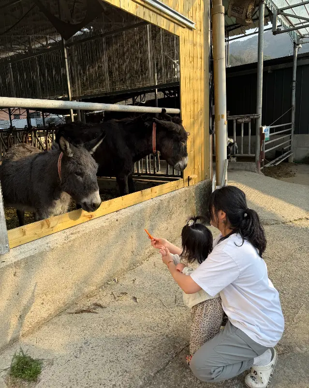 당나귀에게 먹이를 주는 아이와 엄마