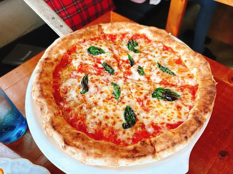 마르게리따 피자 근접샷