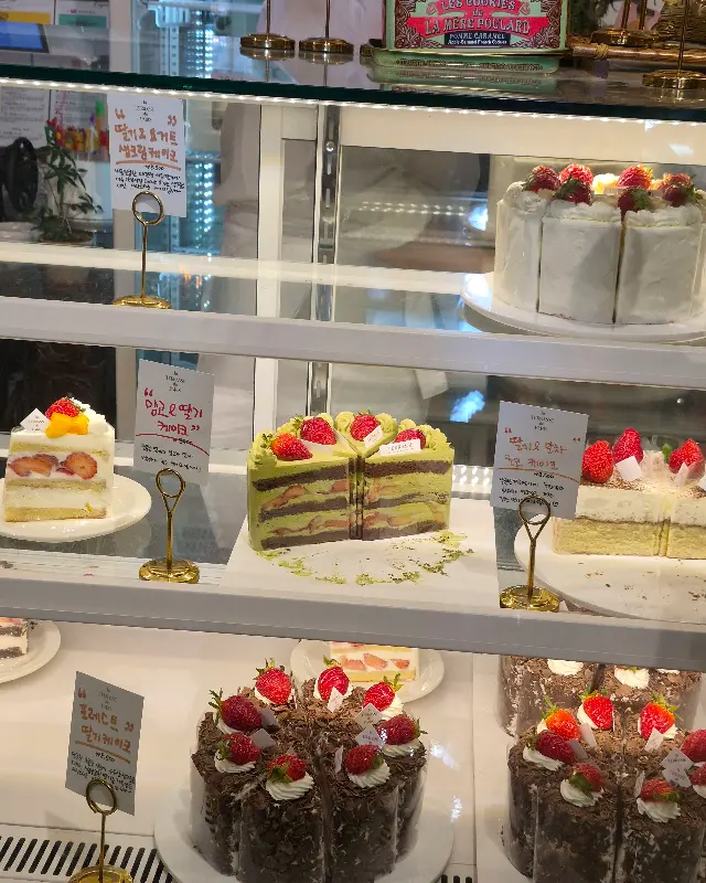 다양한 종류의 케이크가 가득한 쇼케이스