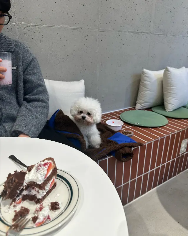 강아지와 함께 방문한 손님의 모습