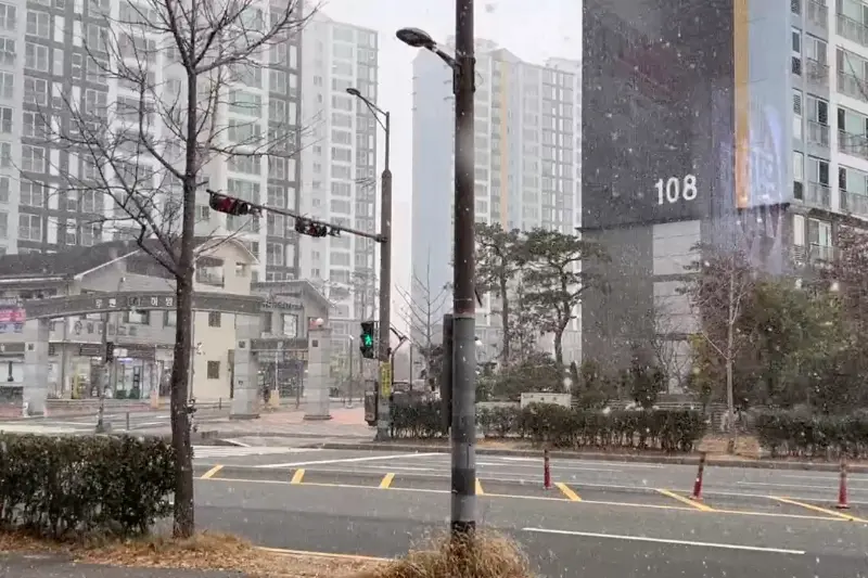 눈 내리는 풍경