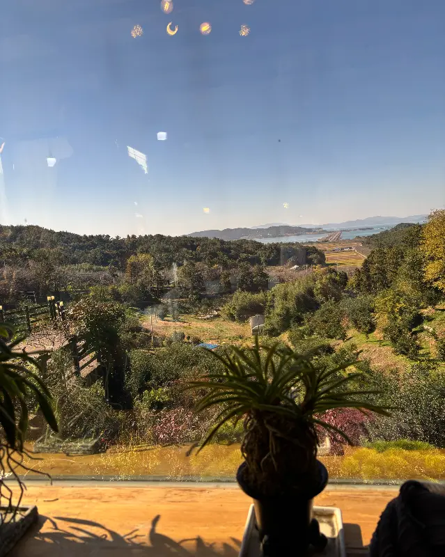 카페 몰랑에서 바라본 풍경