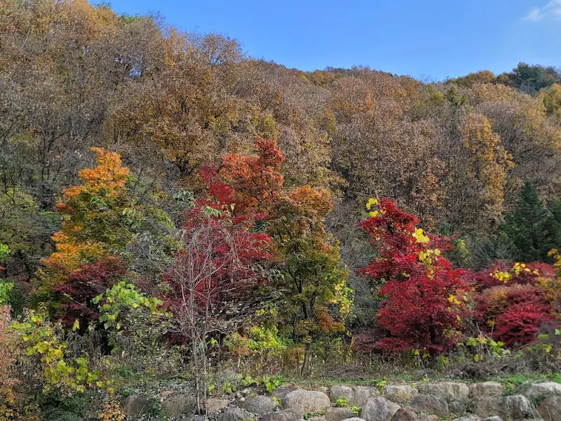 울긋불긋 단풍으로 물든 가을 산