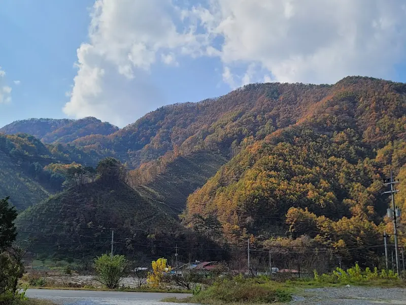 식당 주변을 둘러싼 아름다운 가을 풍경