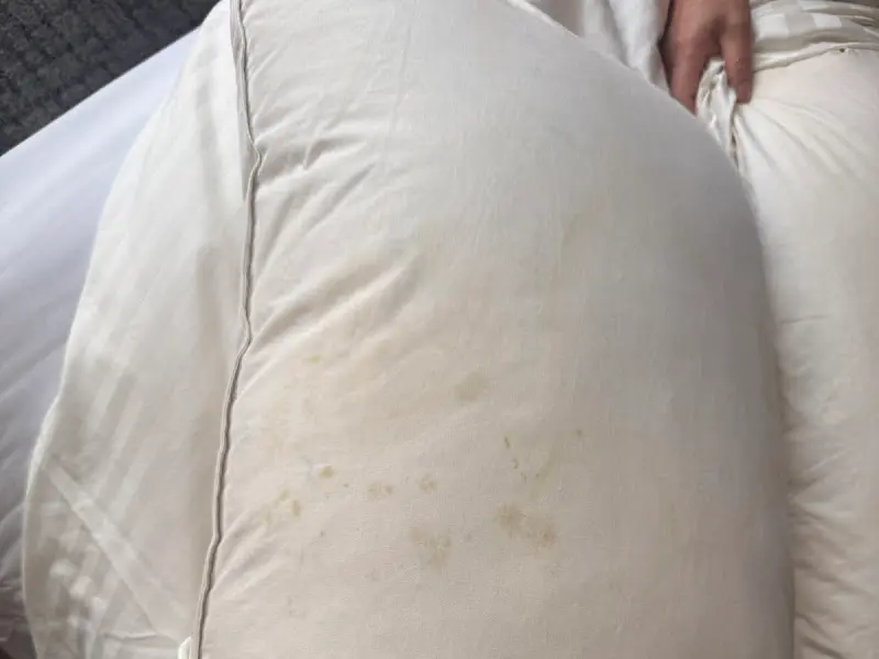 쏠비치 오션플레이