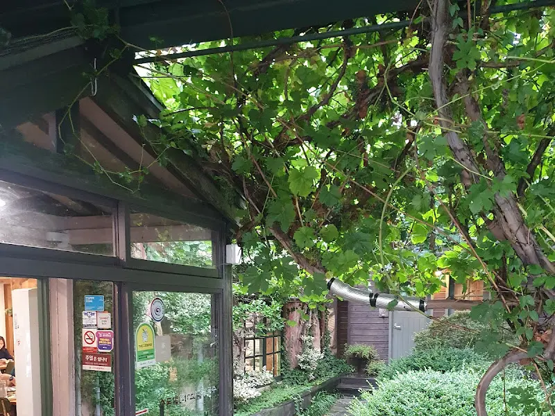 고가네칼국수 건물 외관을 휘감은 담쟁이 넝쿨