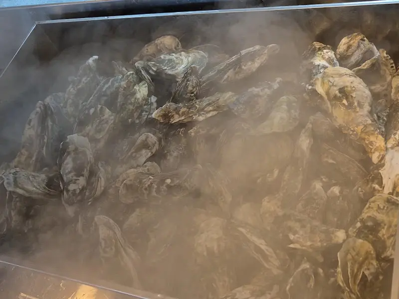 따뜻한 김이 모락모락 나는 석화찜