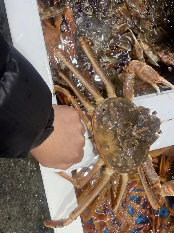 수족관 안에서 유유히 헤엄치는 커다란 대게