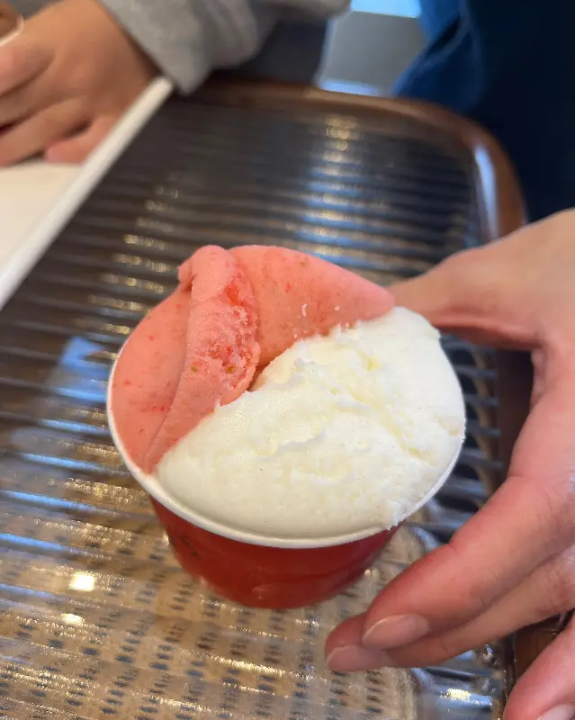 리얼딸기 젤라또