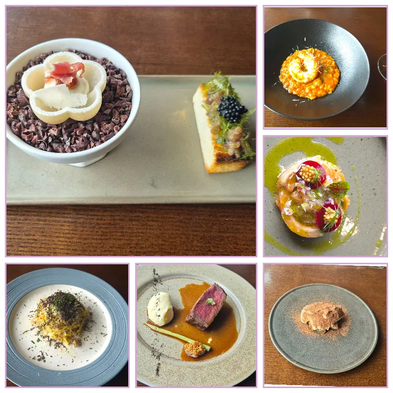 다채로운 코스 요리