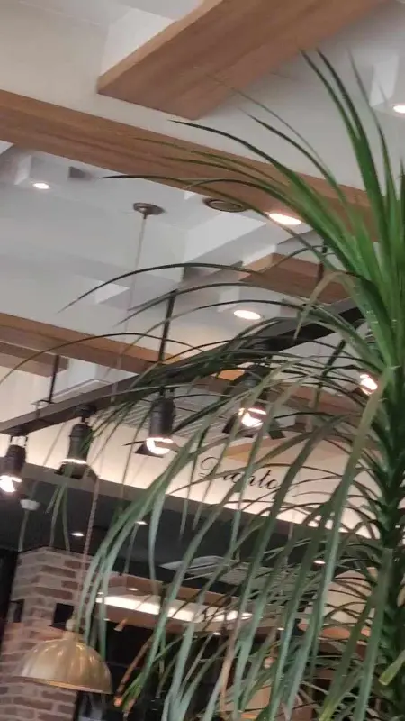 카페 천장 장식