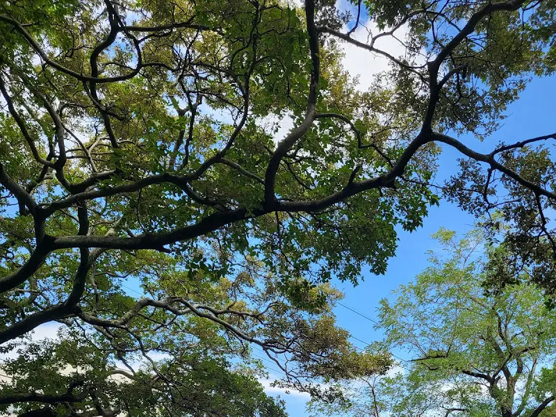 옹포별장가든의 하늘