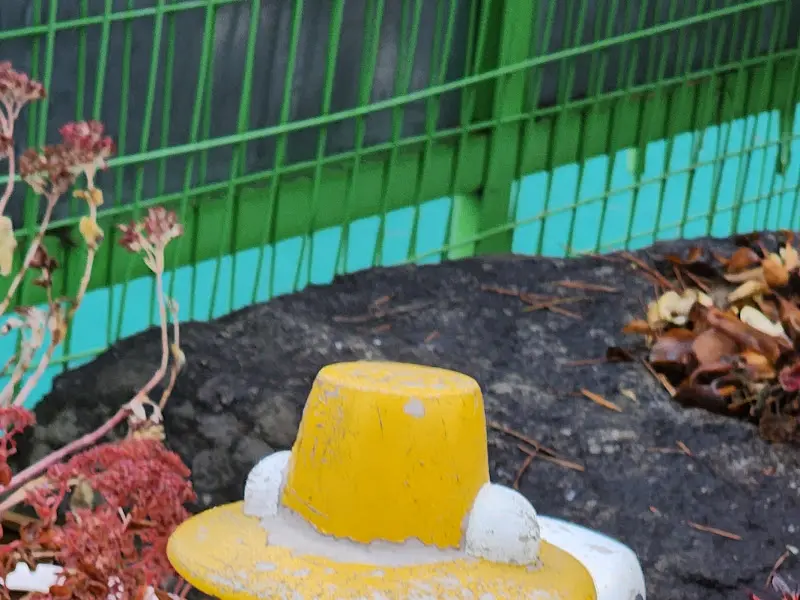 미꾸라지 조형물