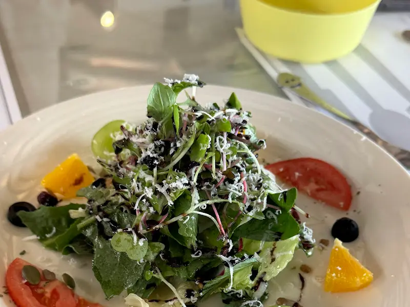 신선한 샐러드의 모습