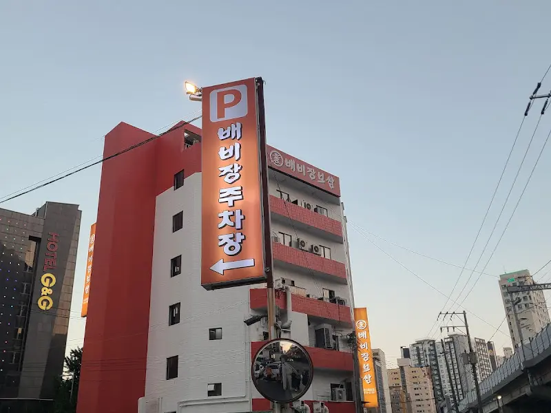 다양한 쌈 채소