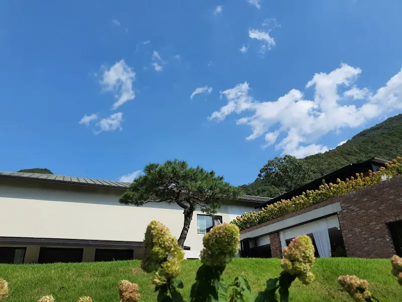 푸른 하늘을 배경으로 한 두베카페 외경