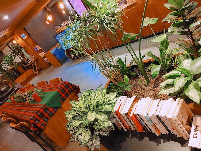 카페 내부의 다양한 식물들