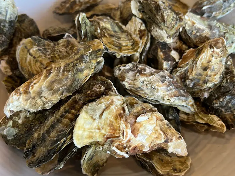 겨울철 별미 석화찜