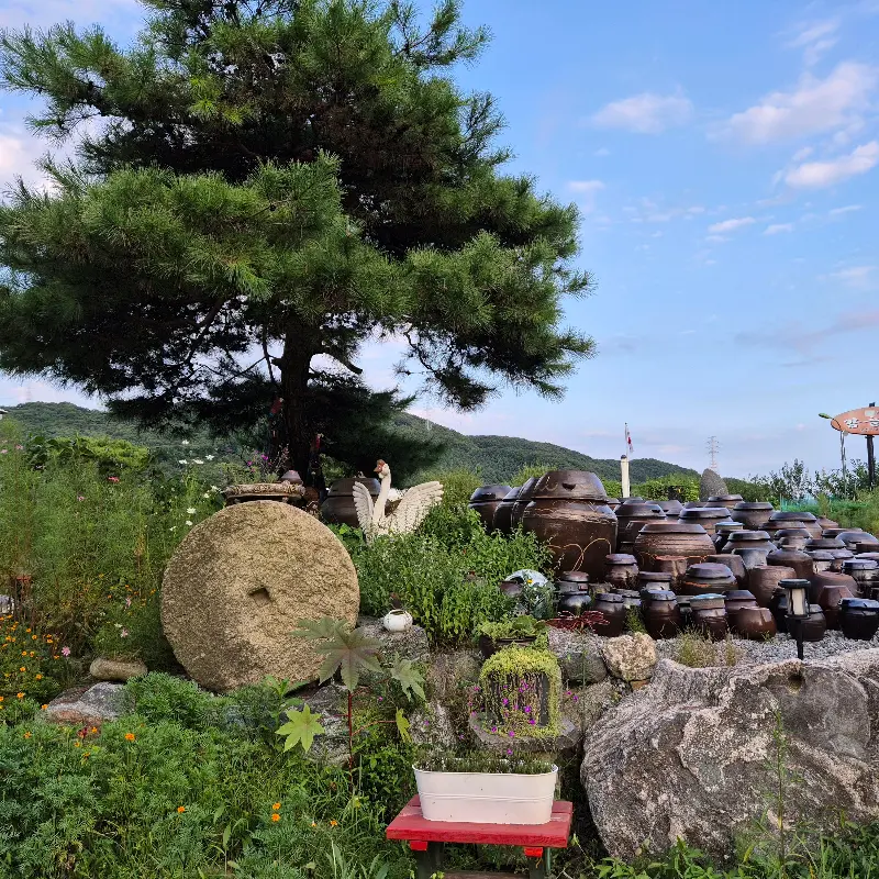 셀프 코너에서 마음껏 가져다 먹을 수 있는 반찬