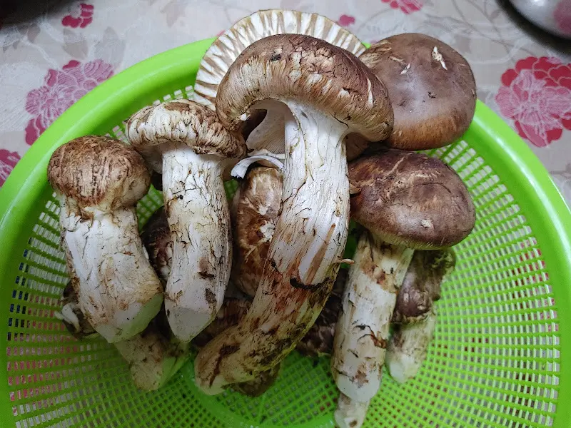 화사한 꽃장식이 돋보이는 인테리어