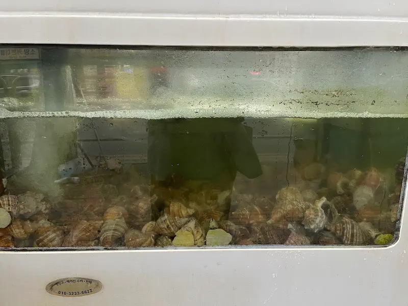 흑산도 소라집 수조