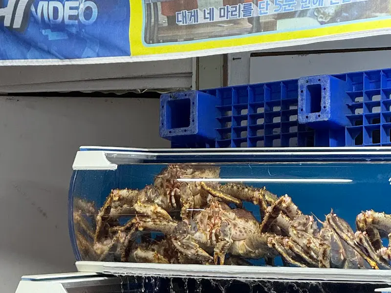 수족관 속 킹크랩