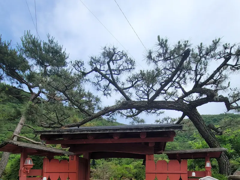 붉은 색의 전통적인 문이 푸른 나무와 어우러져 아름다운 풍경을 연출하고 있다.