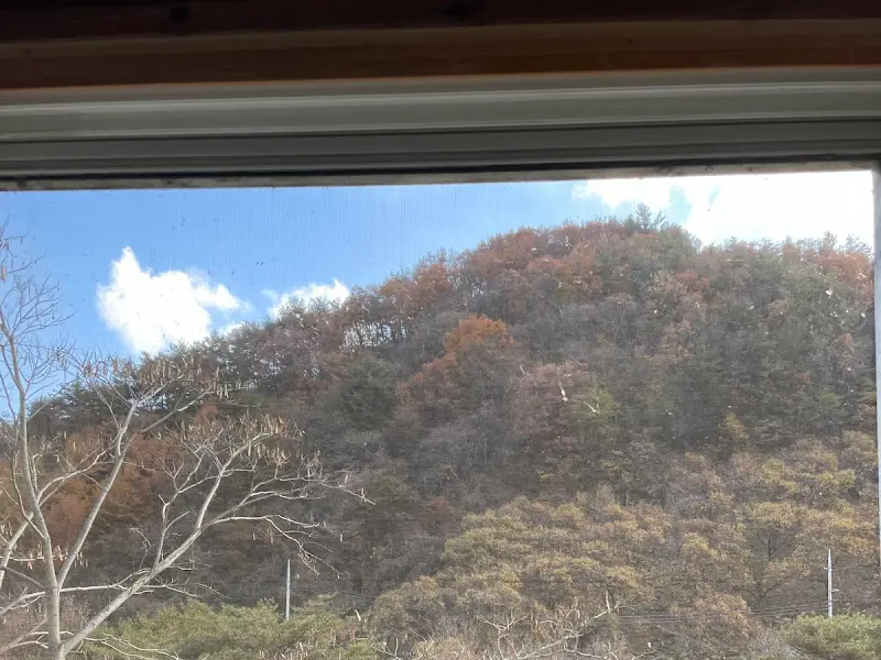 옥계촌 창밖 풍경