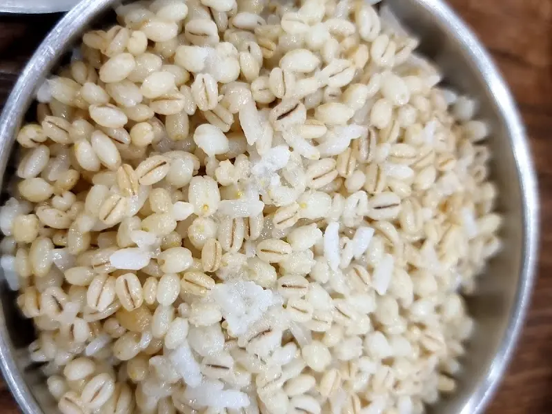 보리밥 클로즈업