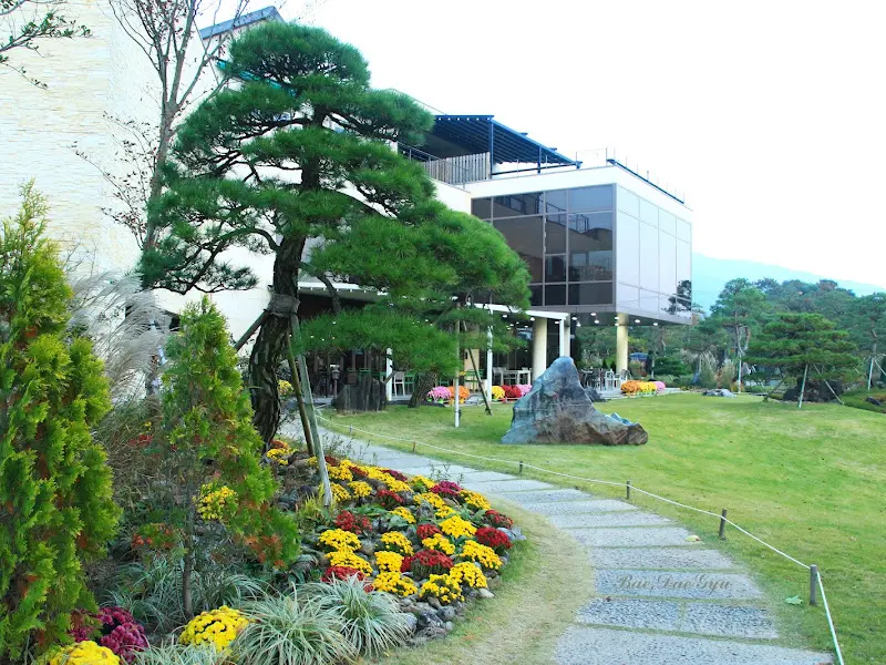 정원의 꽃과 나무