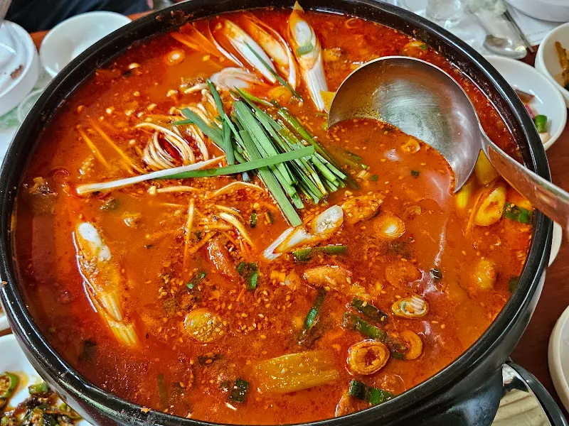 닭볶음탕 근접샷