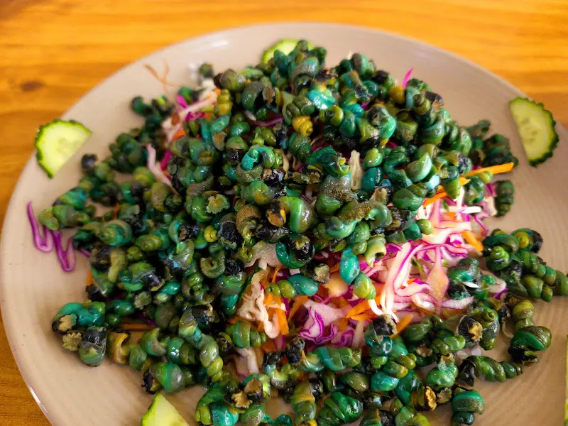 푸짐한 다슬기 무침