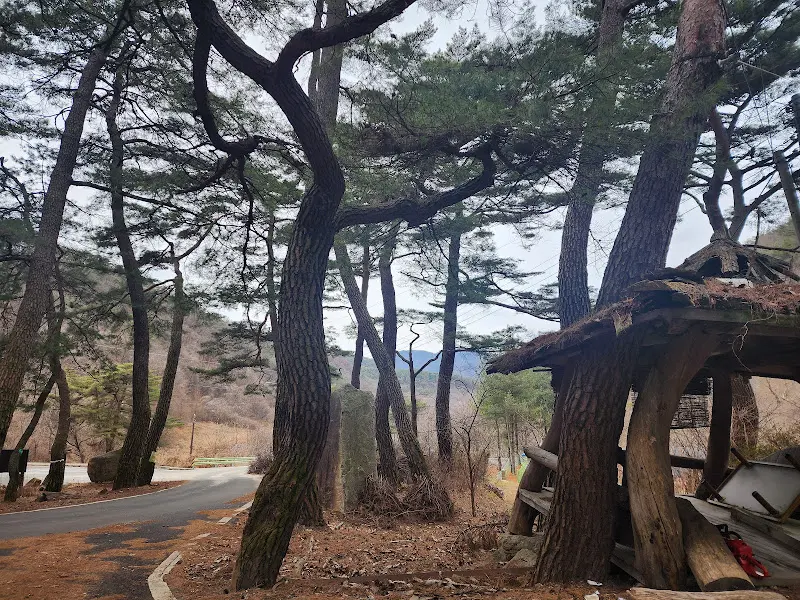 푸짐한 한상차림