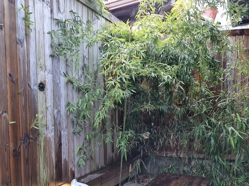 카페 외부 정원